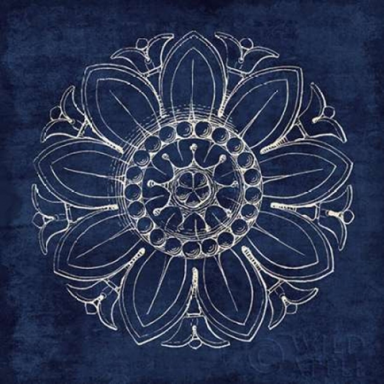 Rosette VII Indigo Poster Print by Wild Apple Portfolio - Item # VARPDX23702
